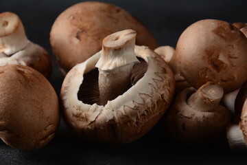 Fresh champignon mushrooms on black background