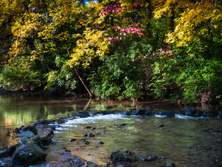 Landscape photo of a rocky stream during autumn in Wyomissing Park