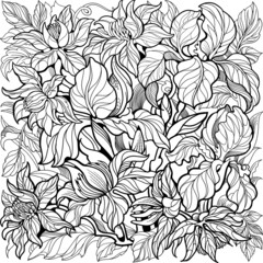 Clematis and Iris flowers. Coloring page for adult and older children