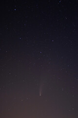 Obraz premium Comet Neowise in the black starry night sky. The sky of the Northern hemisphere at night, various constellations, comets and cosmic celestial bodies. Night sky, space.