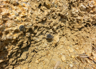 gemology mineral stone rock gravel agate onyx opal soil texture background