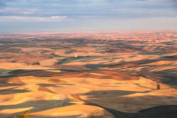 Fototapeta na wymiar A patchwork of wheat stubble fields in the fall in the palouse wheat country in southeastern Washington.