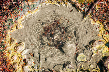 Hot spring in Wai-O-Tapu geothermal area