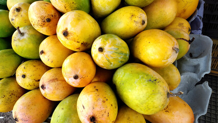 Heap of fresh ripe mangoes at market for sell
