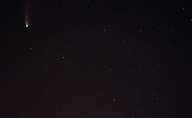 Fototapeta premium Comet Neowise in the black starry night sky. The sky of the Northern hemisphere at night, various constellations, comets and cosmic celestial bodies. Night sky, space.