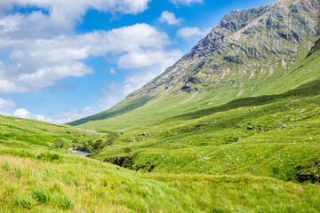 Fototapeta na wymiar mountain landscape with green grass