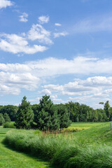 Fototapeta na wymiar Landscape of green grass and blue sky. Captured at Mezhyhirya village, near Kiev city, Ukraine