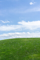 Landscape of green grass and blue sky. Captured at Mezhyhirya village, near Kiev city, Ukraine