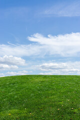 Landscape of green grass and blue sky. Captured at Mezhyhirya village, near Kiev city, Ukraine