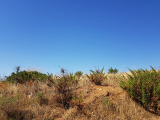 Paesaggio di Sardegna