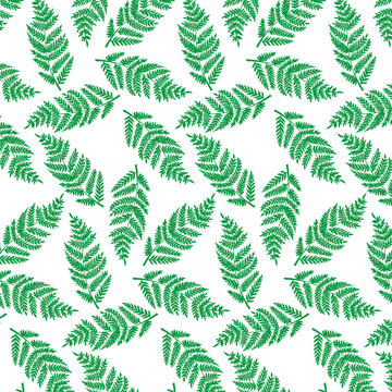 FERN SEAMLESS PATTERN