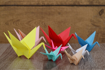 origami colorful bird papers group