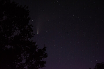 Fototapeta na wymiar neowise comets