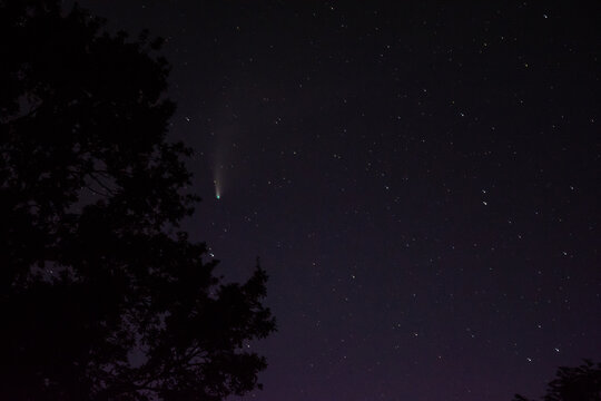 neowise comets