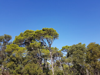 Paesaggio di Sardegna
