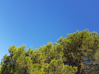 Paesaggio di Sardegna