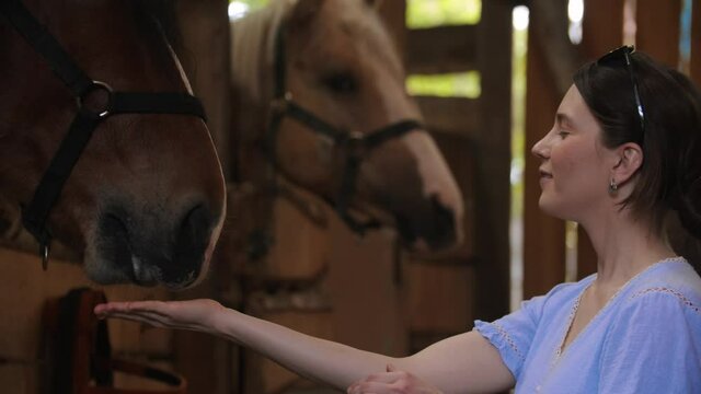 Smiling happy woman feeding horse an apple in paddock