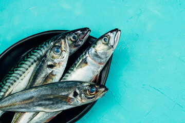 Horse mackerel and mackerel four fresh fish on a black plate on a blue background. Concept of...