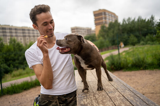 Portrait Of A Guy And His Dog, At The Playground For Dog Training. Gives The Dog A Small Bone