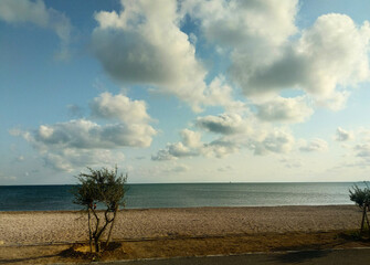 beach and cloudly sky