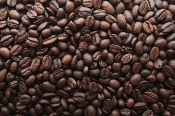 coffee beans roasted background macro 