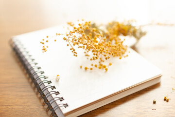 ミモザのドライフラワーとノート