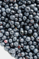 lots of fresh blueberries, texture background berries