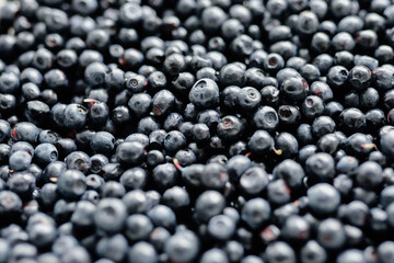 lots of fresh blueberries, texture background berries