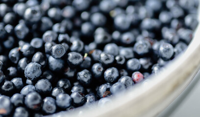 lots of fresh blueberries, texture background berries
