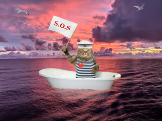 The cat in sailor clothing is drifting in the bathtub on the open sea after shipwreck. He holds a...