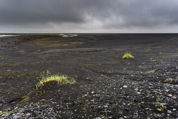 Black lava field near Skaftafell National Park, Iceland.