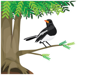 magpie bird on big tree vector design