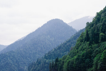 Fototapeta na wymiar mountains in the mountains, green mountains, Mountain landscape