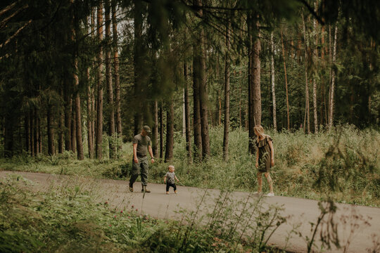 The family is walking in a pine forest.