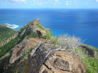 Fototapeta na wymiar View from outdoor hiking on Koko Head creator, Hawaii