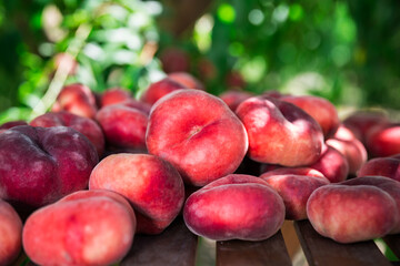 ripe appetizing peaches paraguay with peach juice on table in garden