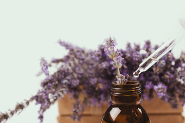 Dropper bottle with lavender essential oil and defocused lavender flowers as background with copyspace for text. Trendy toned photo for your blog or presentation