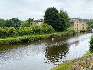 Fototapeta na wymiar View of the Leeds to Liverpool canal, with swans, trees, and buildings in the distance in, Elland, Yorkshire, UK