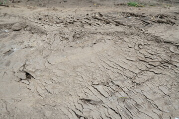 Closed up of dried cracked caked-on mud in vicinity of river with traces of tires of heavy autos. Can be used as background. Photo was taken during summer sunny day.