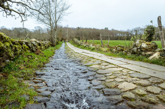 Sendero en el Camino de Santiago entre los pueblos Sarria y Portomarin,Galicia(Espa&ntilde;a)