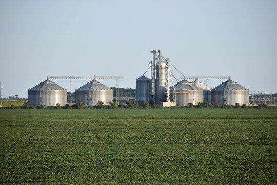 Grain Silos in Eastern North Carolina at Sunset behind Corn Field