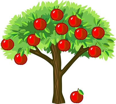 Apple tree with green leaves and ripe red fruit on white background	