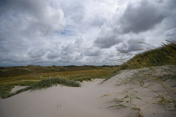 Dune on the West Coast 