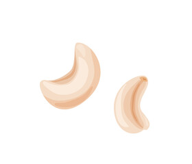 Two cashews nuts in bright color cartoon flat style isolated on white background. Healthy food vector illustration. Organic meal concept