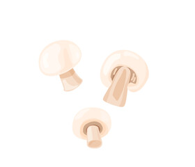 Champignon mushrooms cut and whole in bright color cartoon flat style isolated on white background. Healthy food vector illustration. Organic meal concept