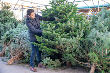 buy a Christmas tree, prepare for Christmas holidays