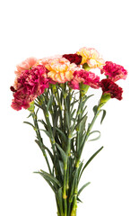 beautiful bouquet of mix carnations