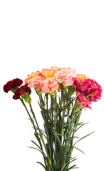 beautiful bouquet of mix carnations