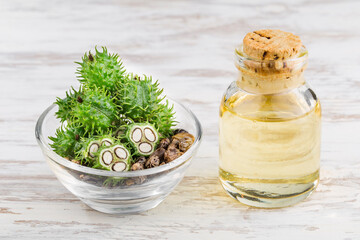 fruits and castor oil in bowl on the table, Ricinus communis