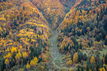 Fall colors in the Caucasus Mountains, Georgia